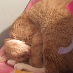 Meet your Posher, Noelle